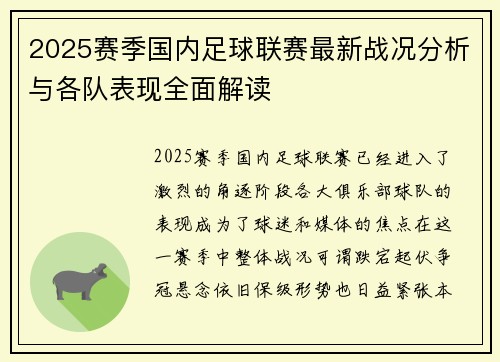 2025赛季国内足球联赛最新战况分析与各队表现全面解读