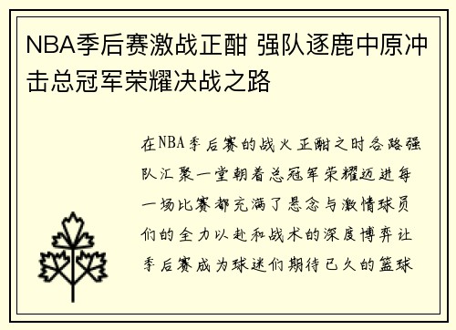 NBA季后赛激战正酣 强队逐鹿中原冲击总冠军荣耀决战之路